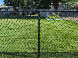 A chain link fence installation in a residential backyard.