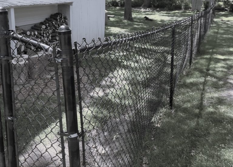 Chain-link fence in a grassy yard, storage shed and firewood pile in the background.